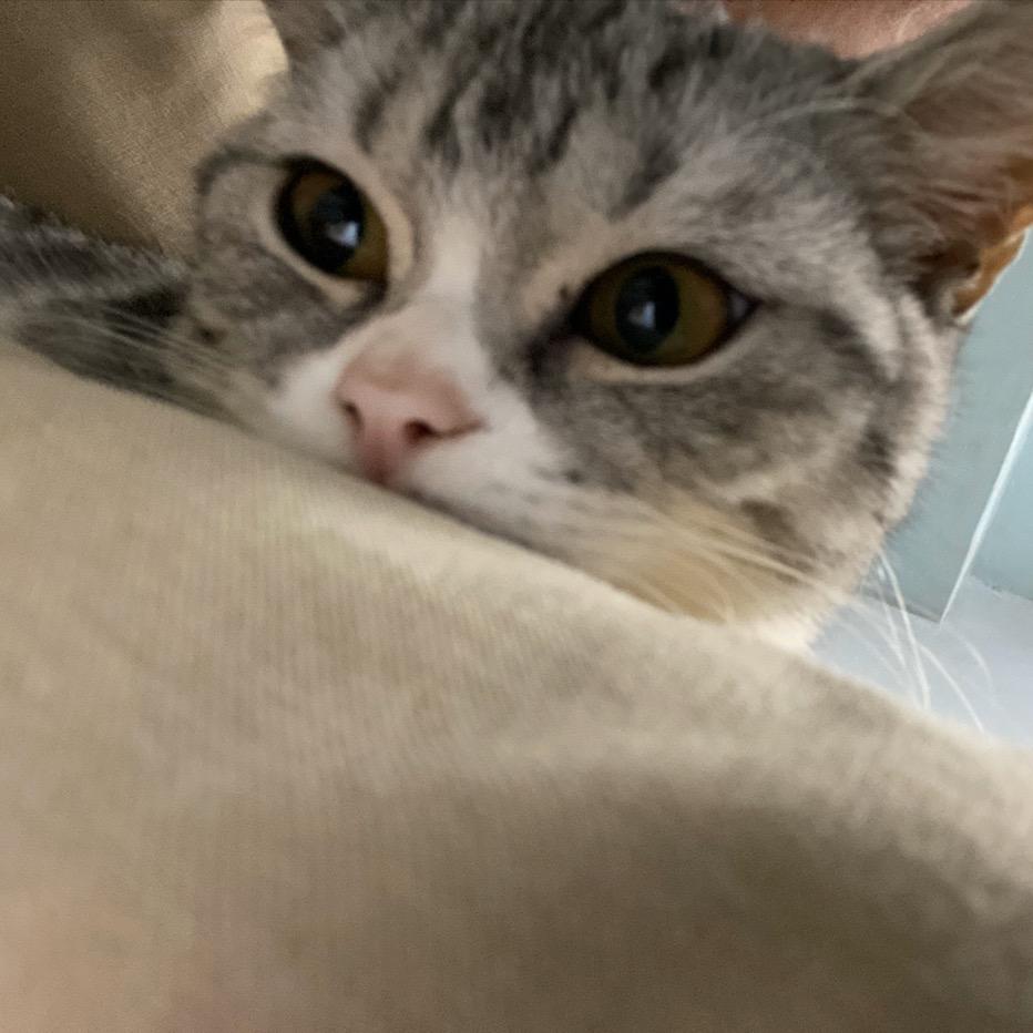 怀信