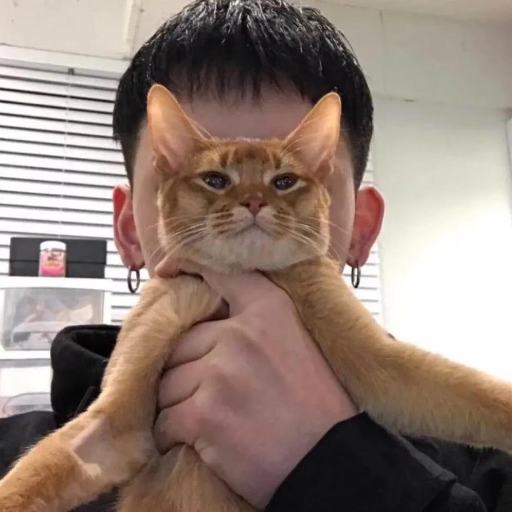 ¥大熊¥