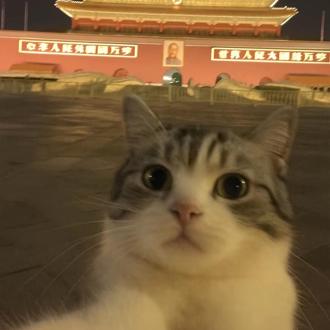 开花肠
