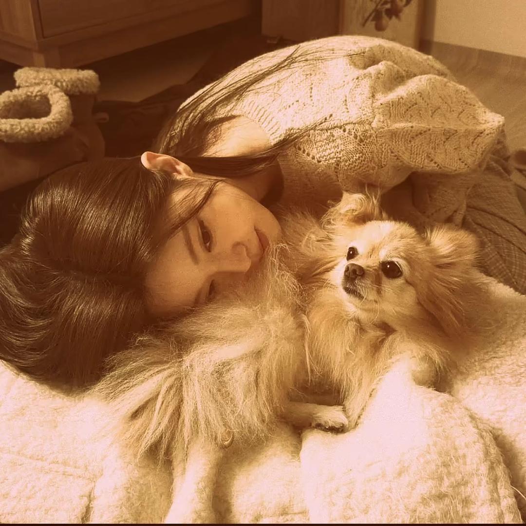 🐈‍⬛‧₊˚⋆.