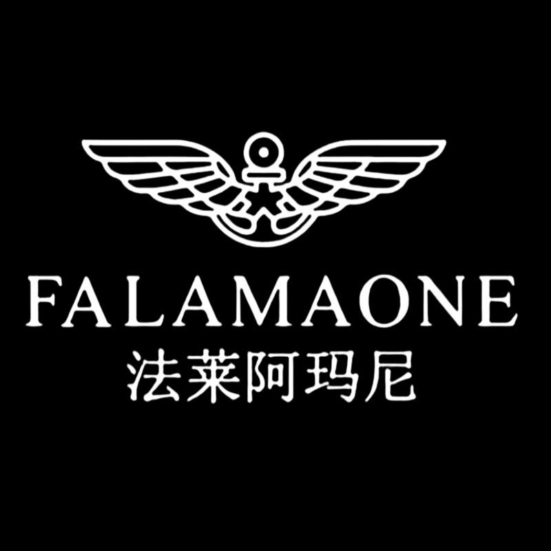 法莱阿玛尼京琪专卖店