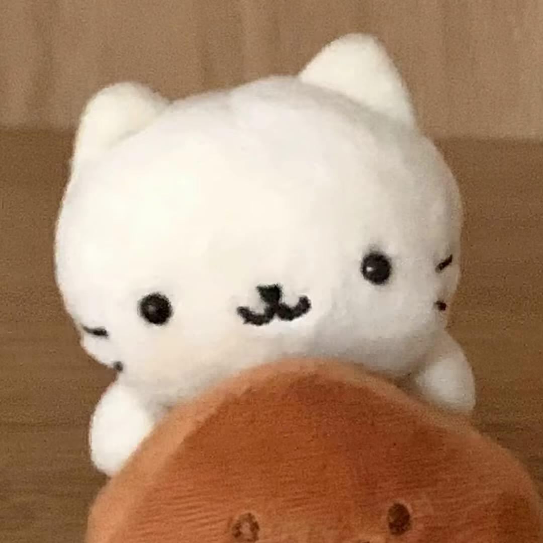 qwq