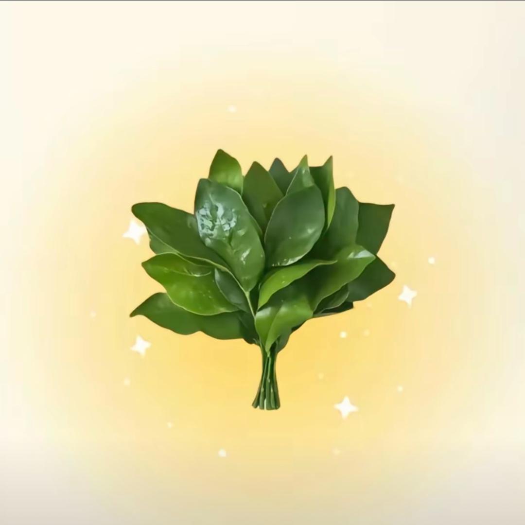 恩恩，