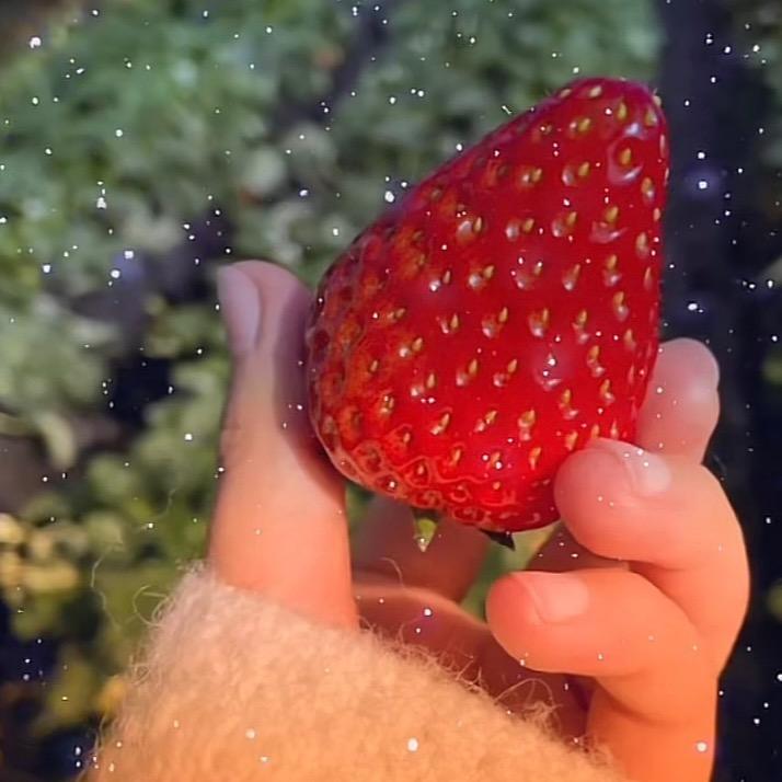 🌈果果💕