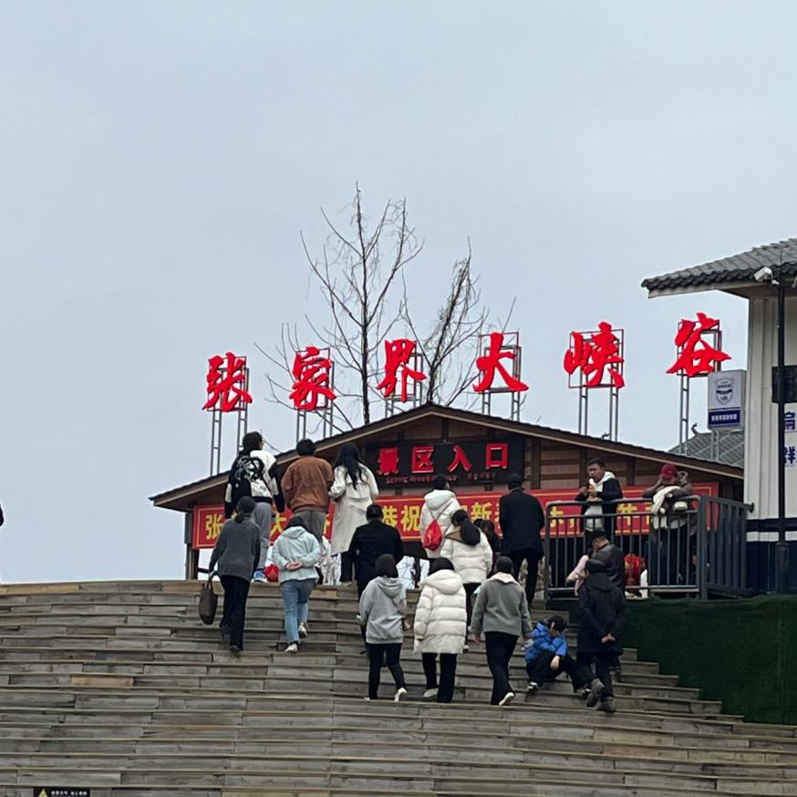 亮瞎你的眼