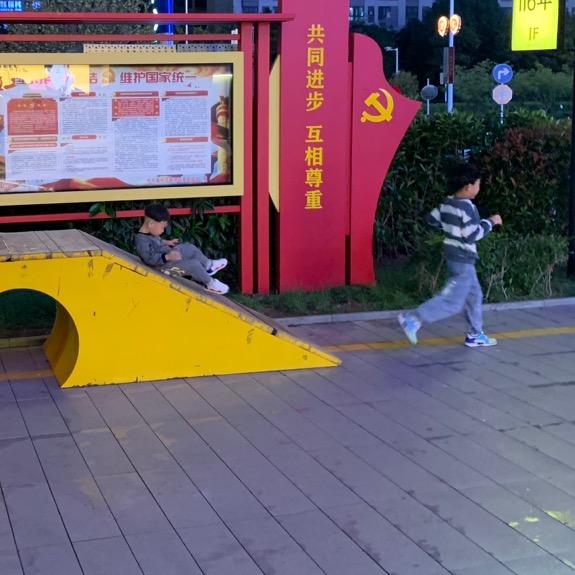 粽子和荷叶的爸爸