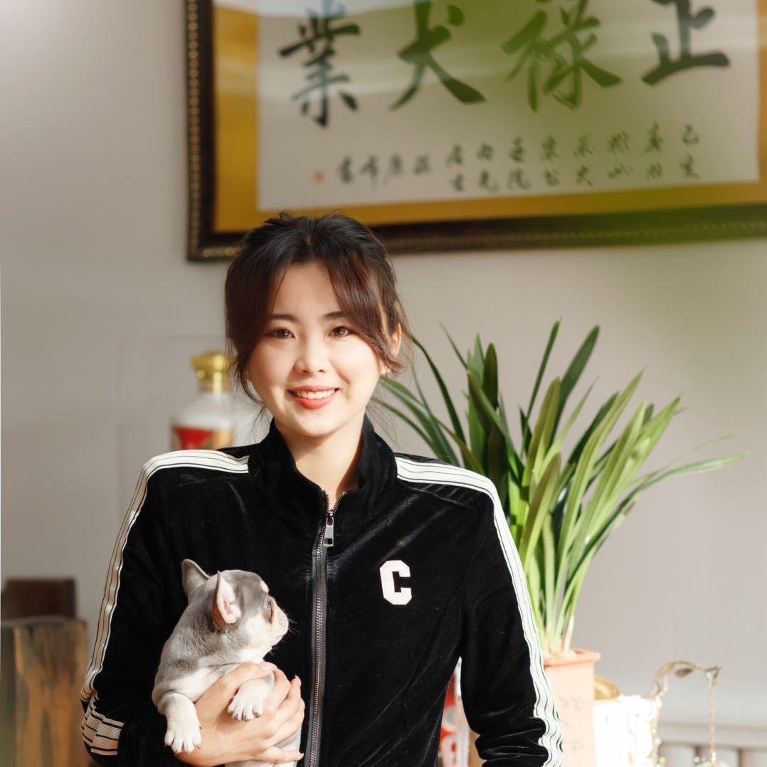 正禄犬业 小马法斗