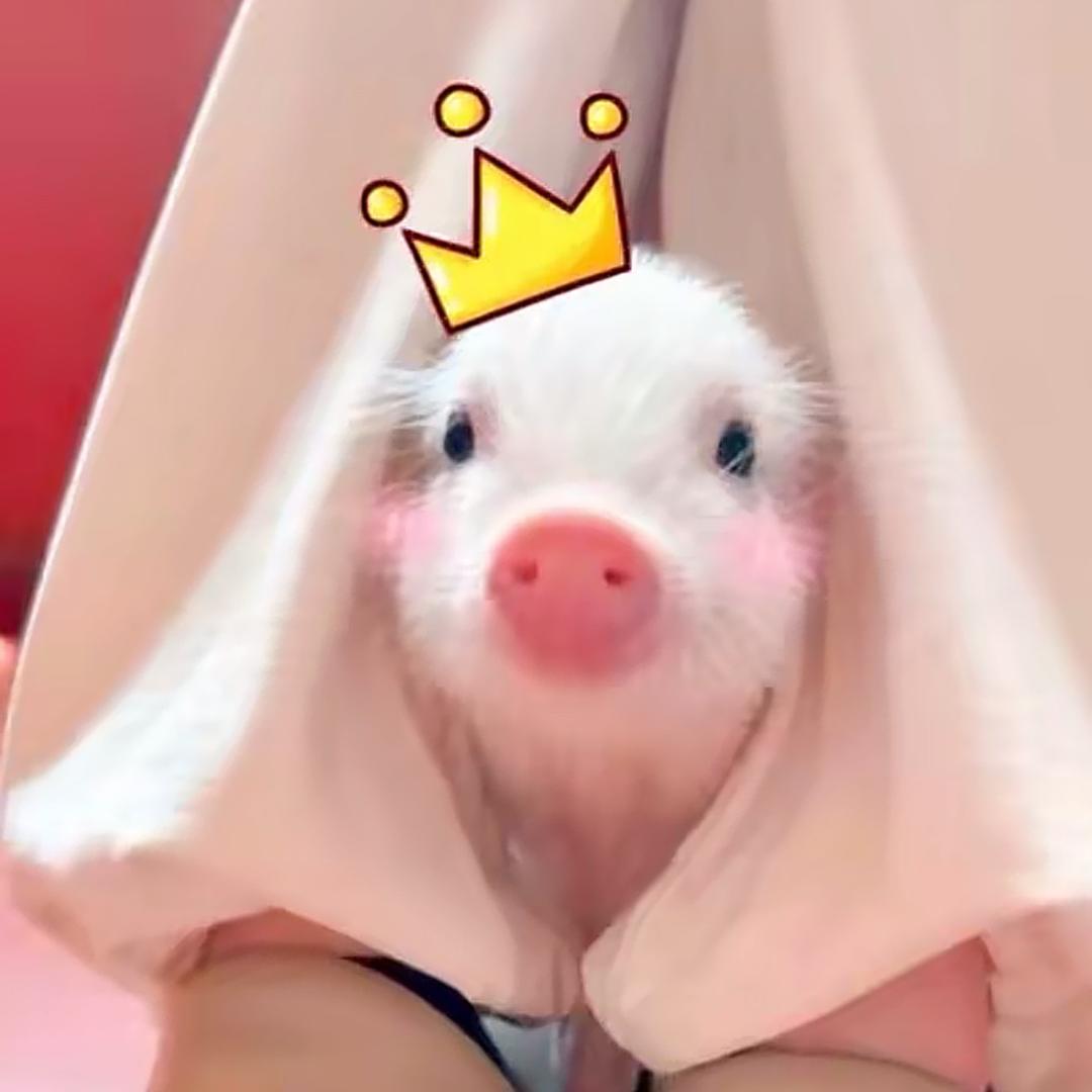 忧