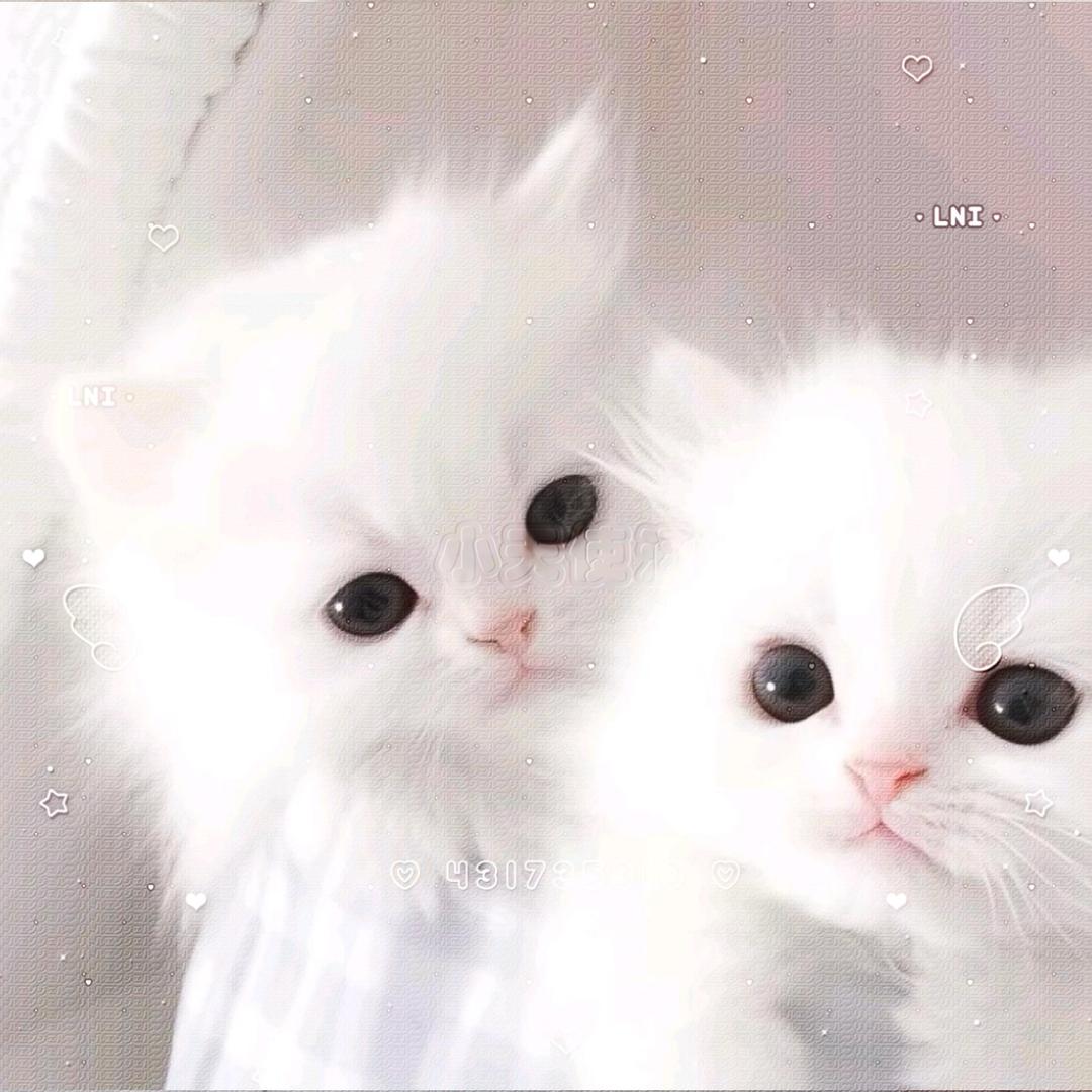 宣誓与榆永久（关限）