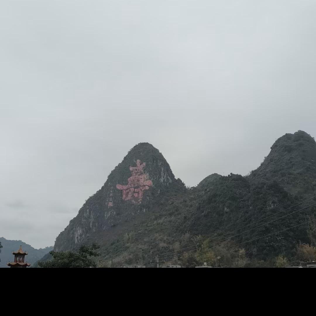 九洲滋补甄选