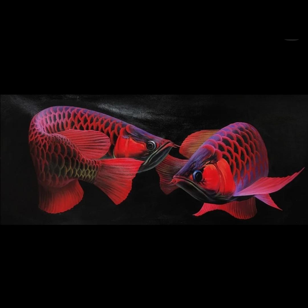 龙祥阁龙鱼【总部】