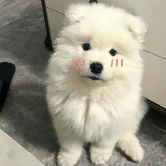 宝宝肚肚打雷了