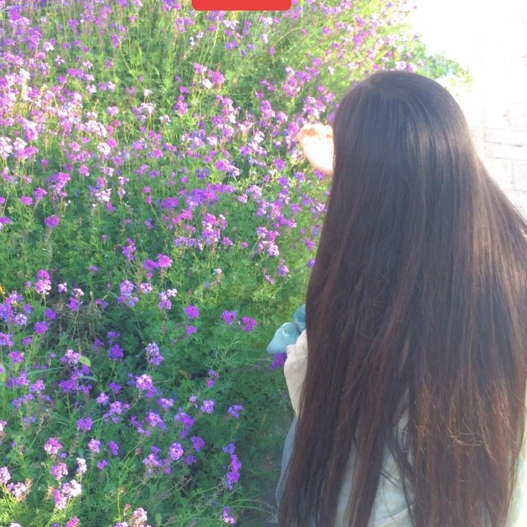 育发养发诗诗🦁