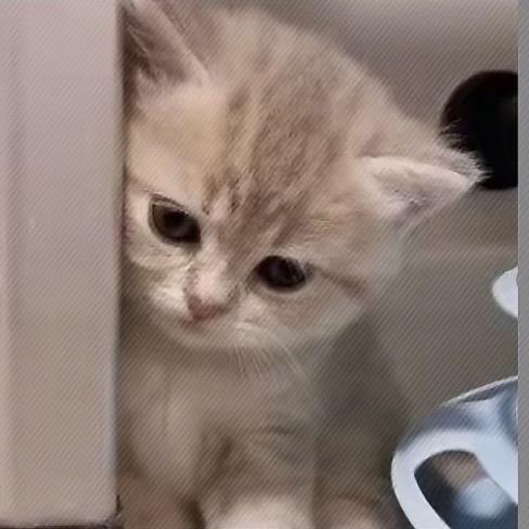 阿凌凌凌（接🔮）