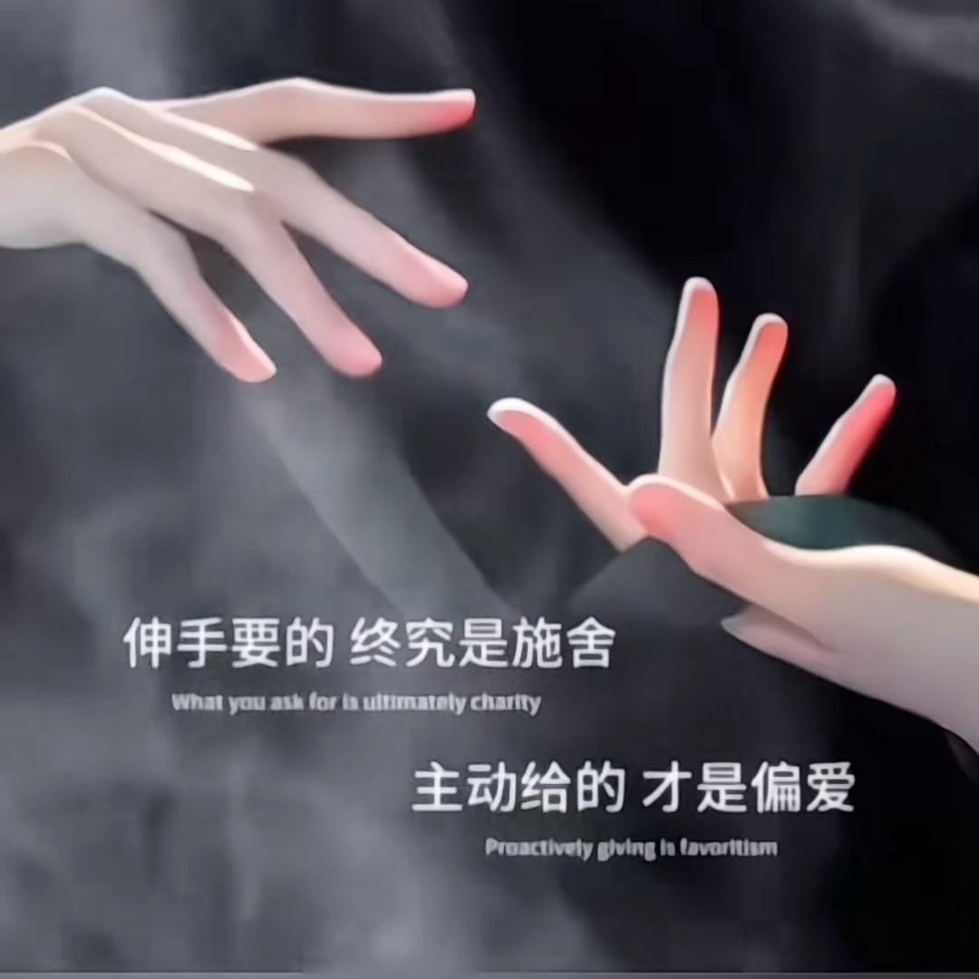 🥀冷风中的独行者