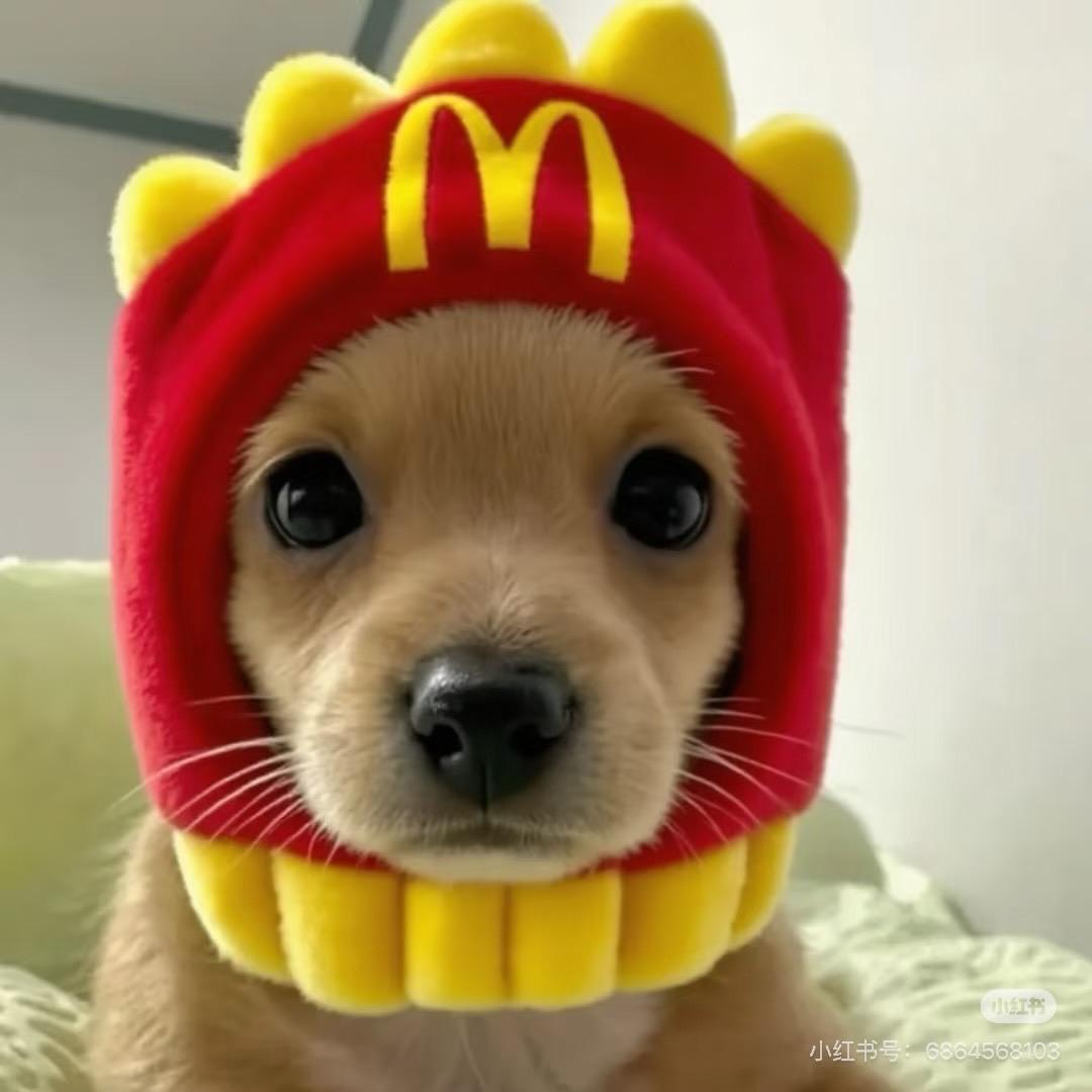 别偷我麦当劳🍟