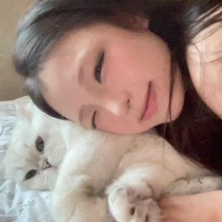 不好骗的咸蛋黄