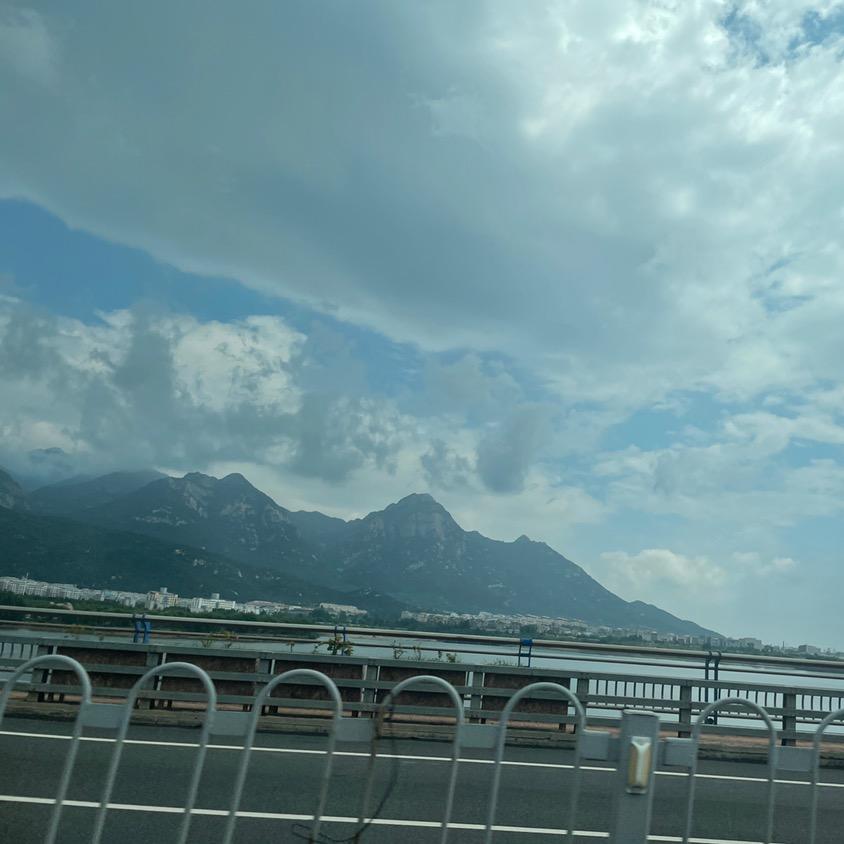 小小飞鱼儿