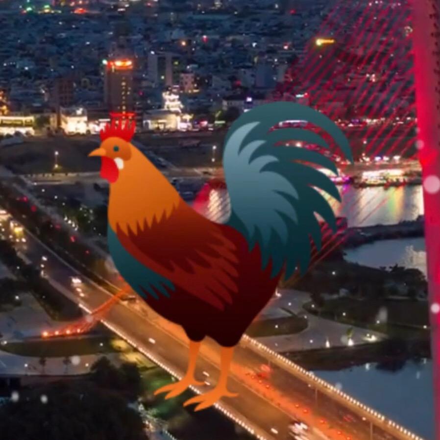 深圳市圣旨传媒有限公司