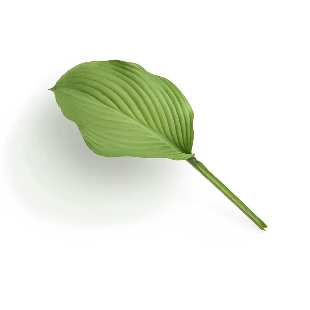 ʚ翻篇ɞ