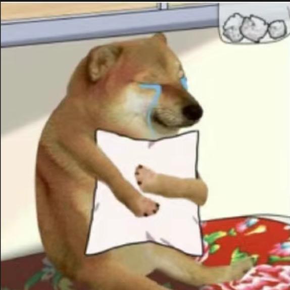 姐姐说当你读完名字就知道我有多帅