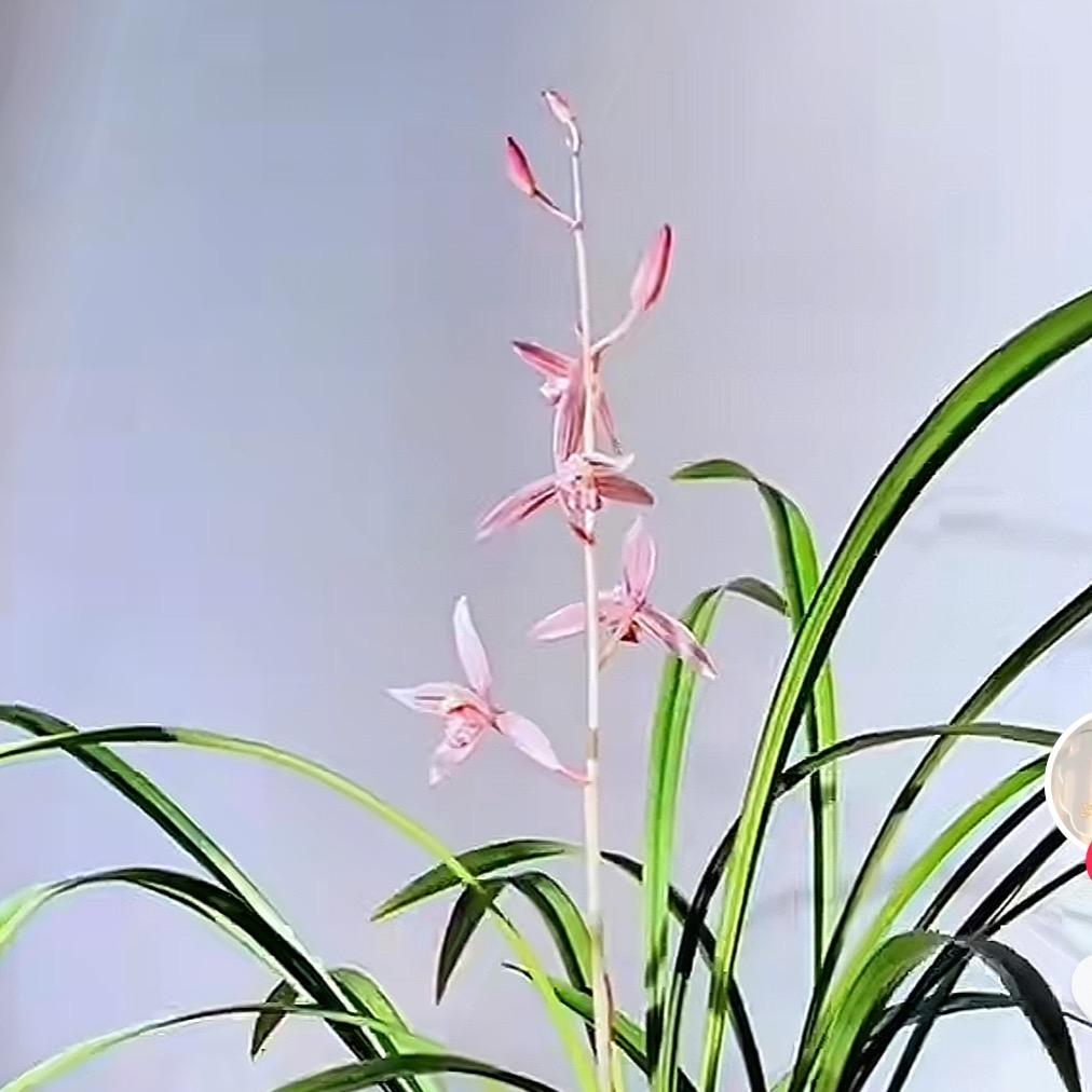 此账号已注销