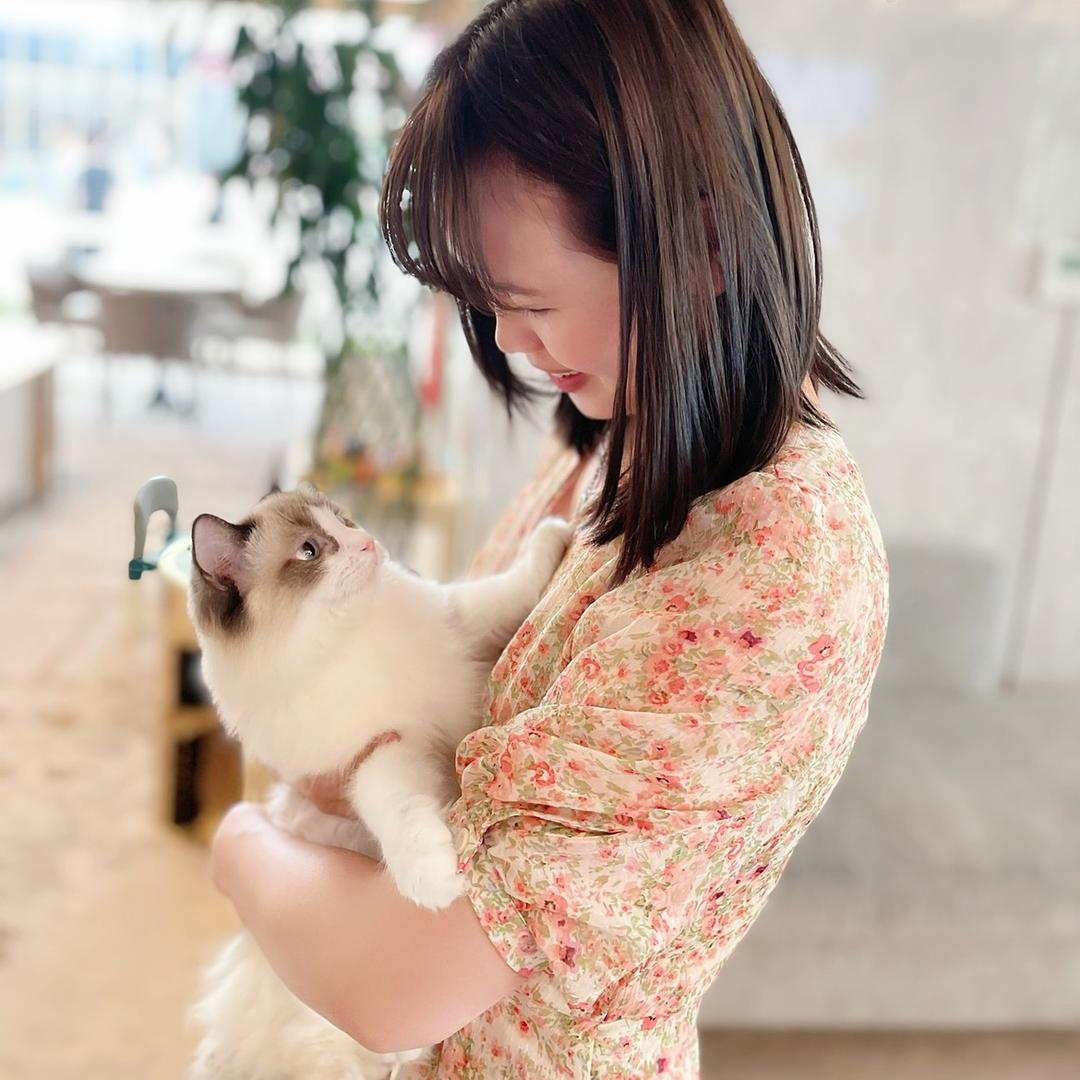 小小猫便利店
