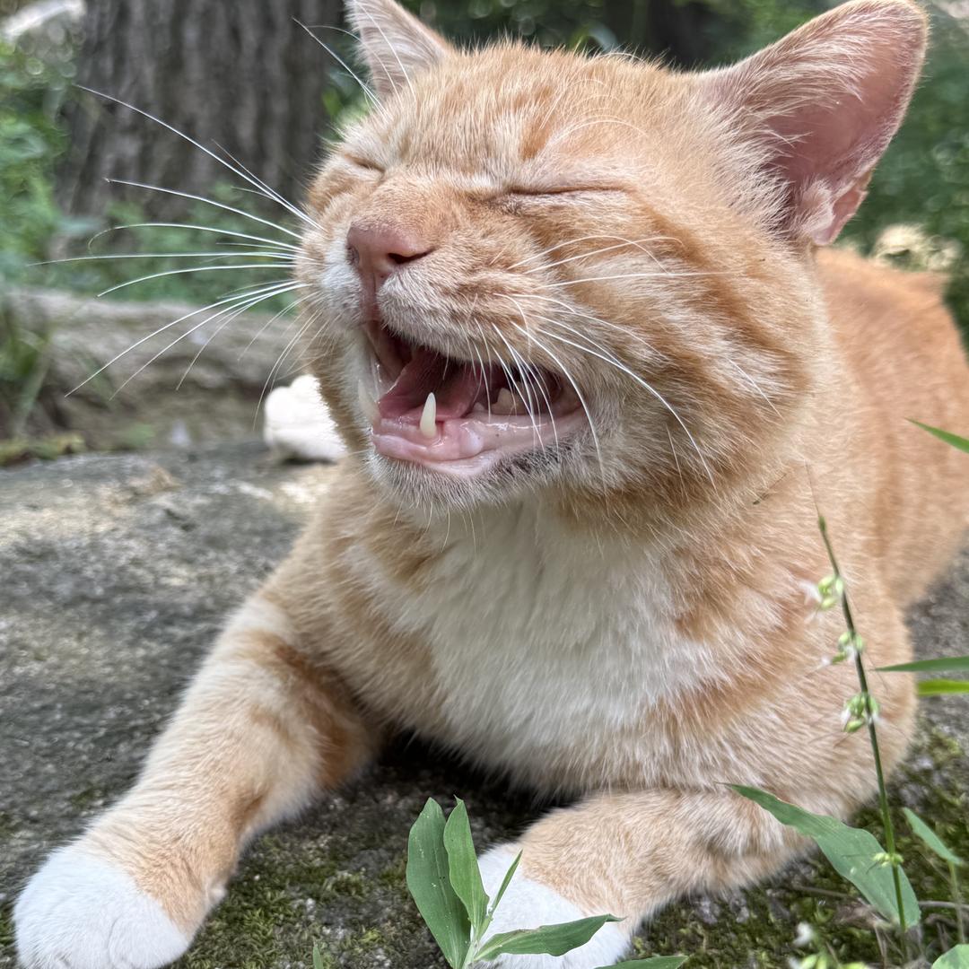 杭州钱塘新区俊棋手机店