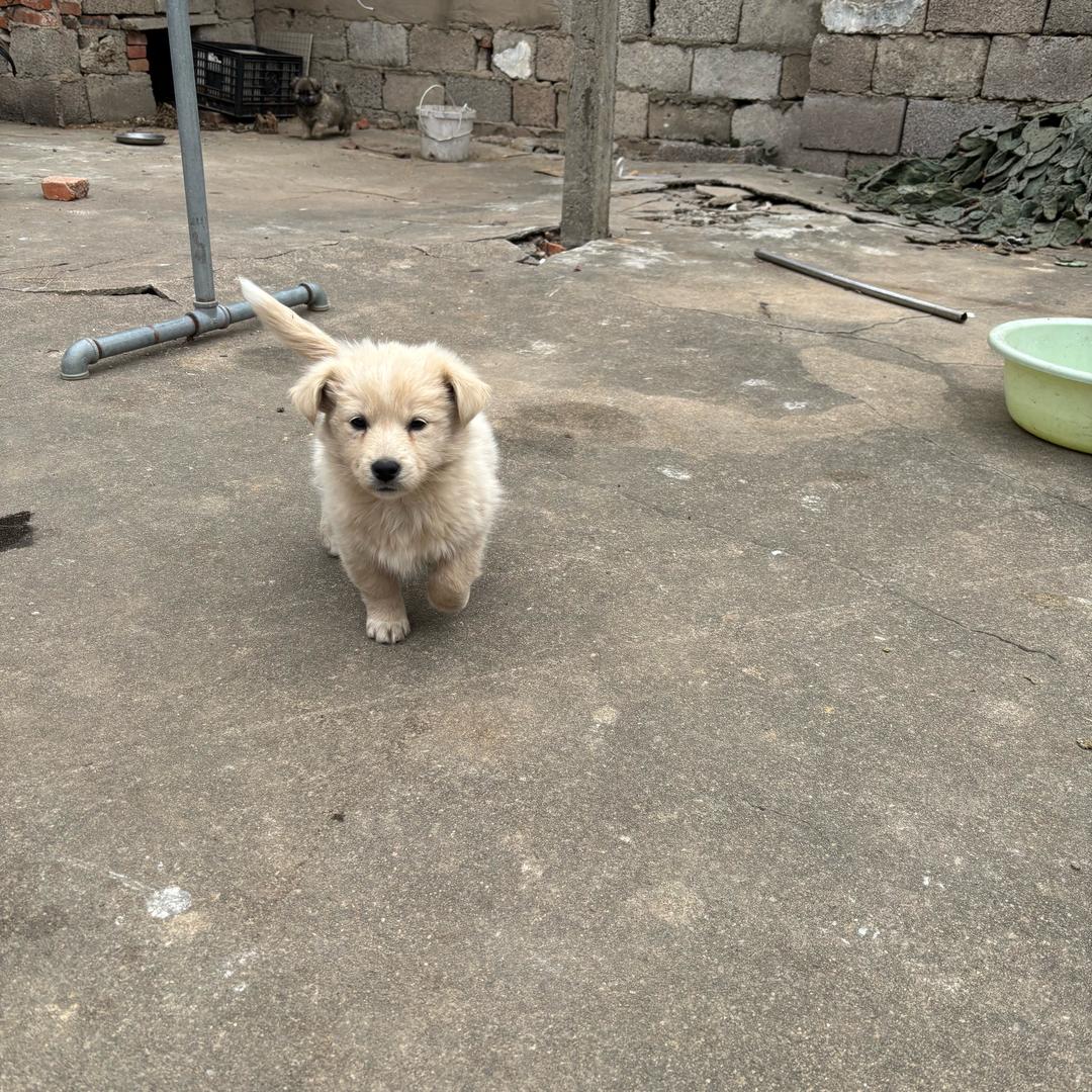 小殷生活