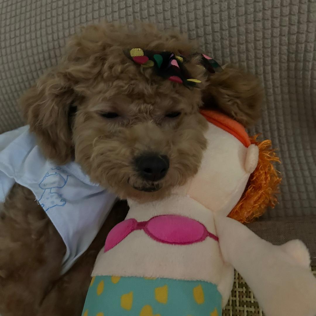 烟云尘