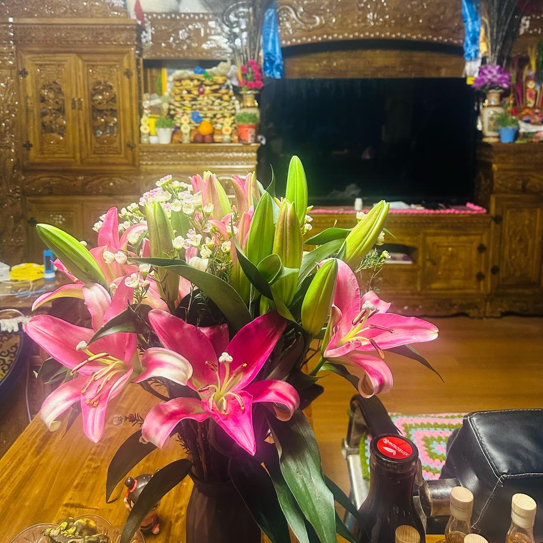 格桑花🌸