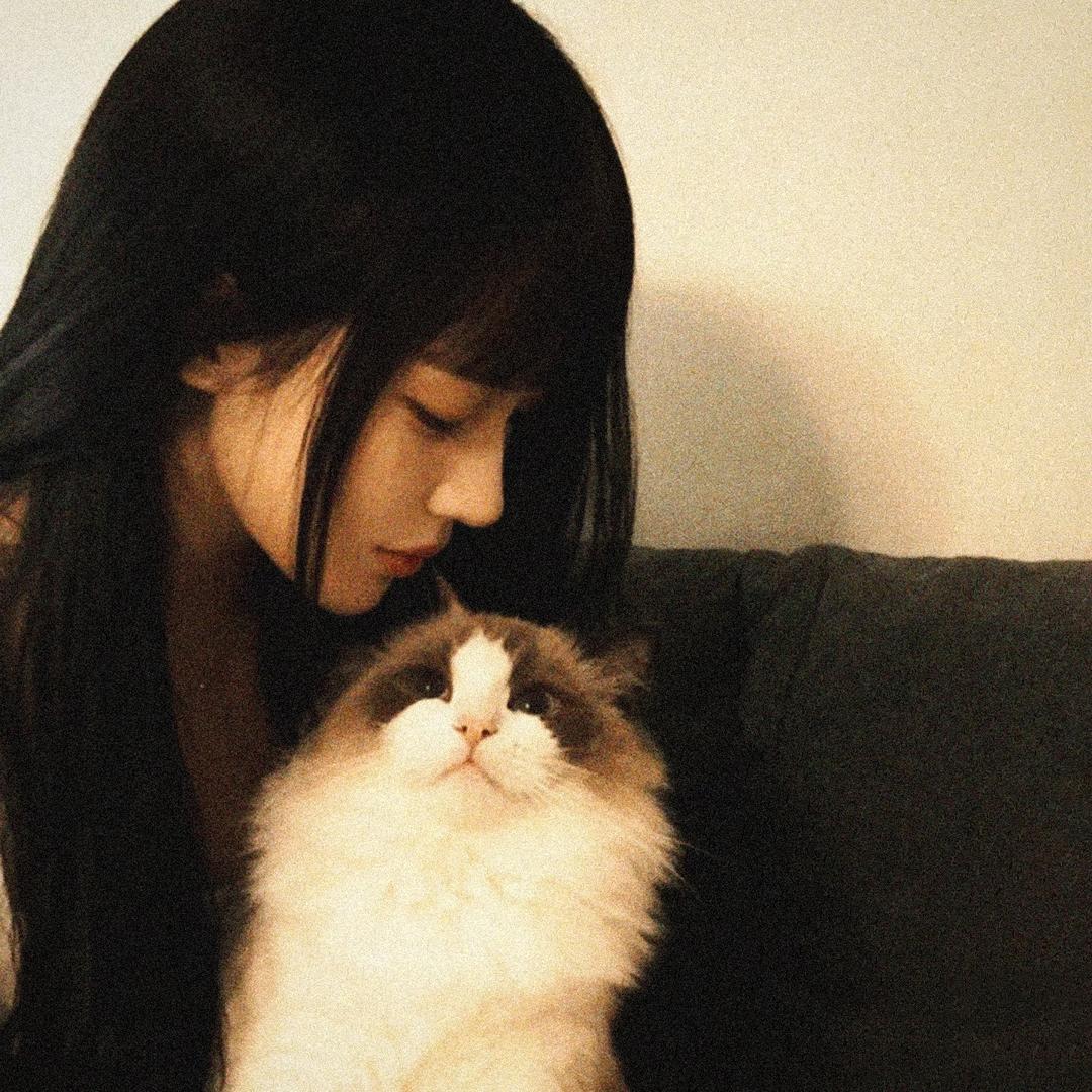 猫猫咪