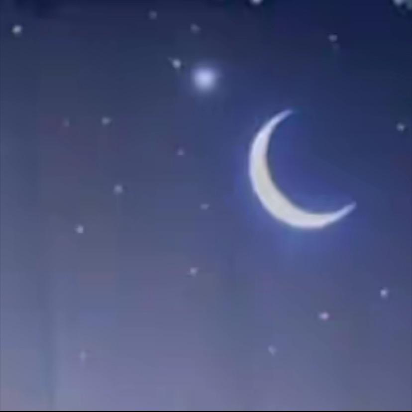 用户