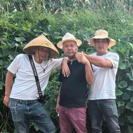 应季三剑客@