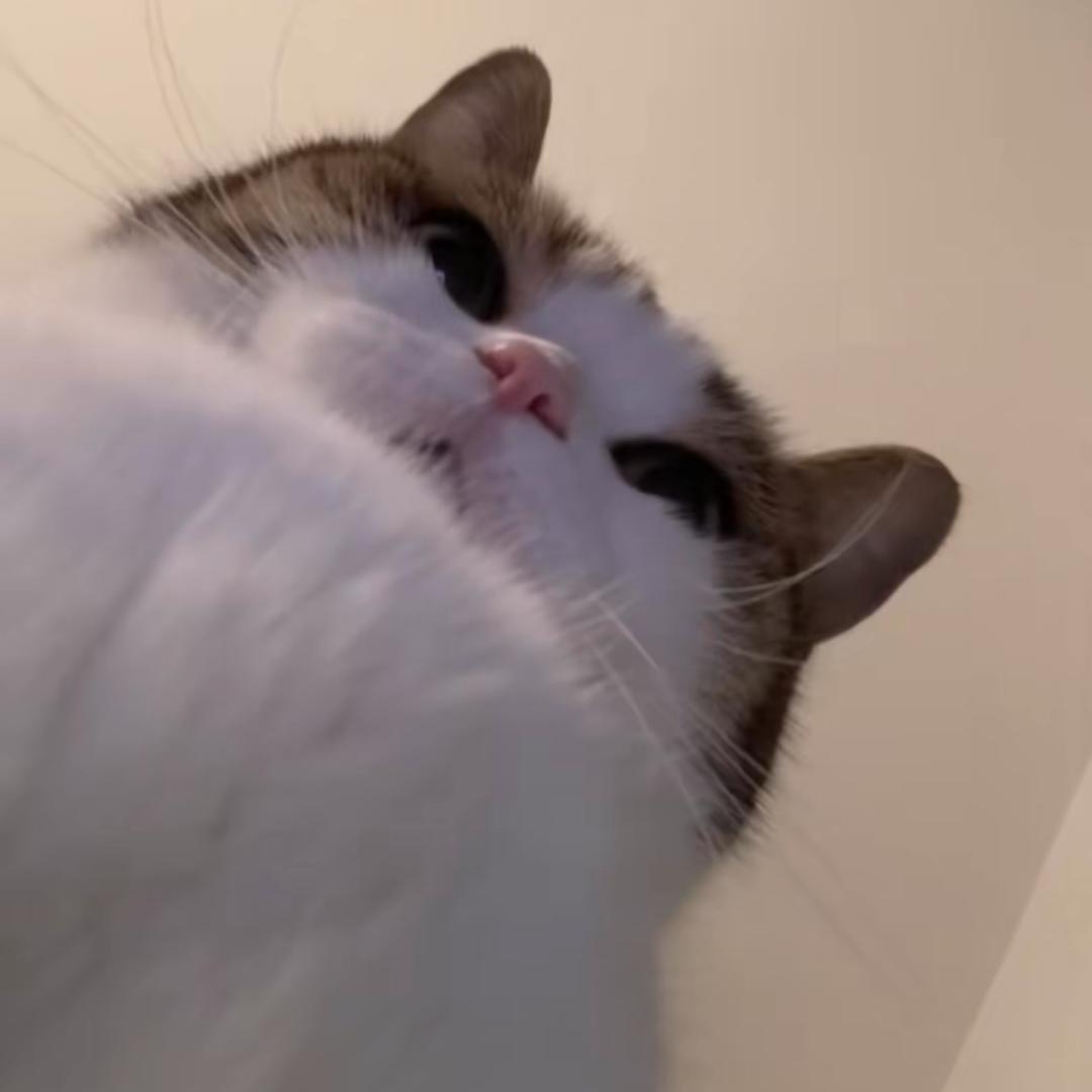 好运来好运来