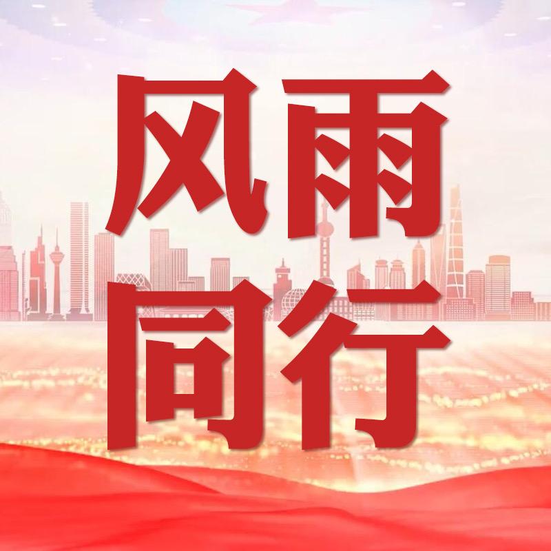 建康咨询