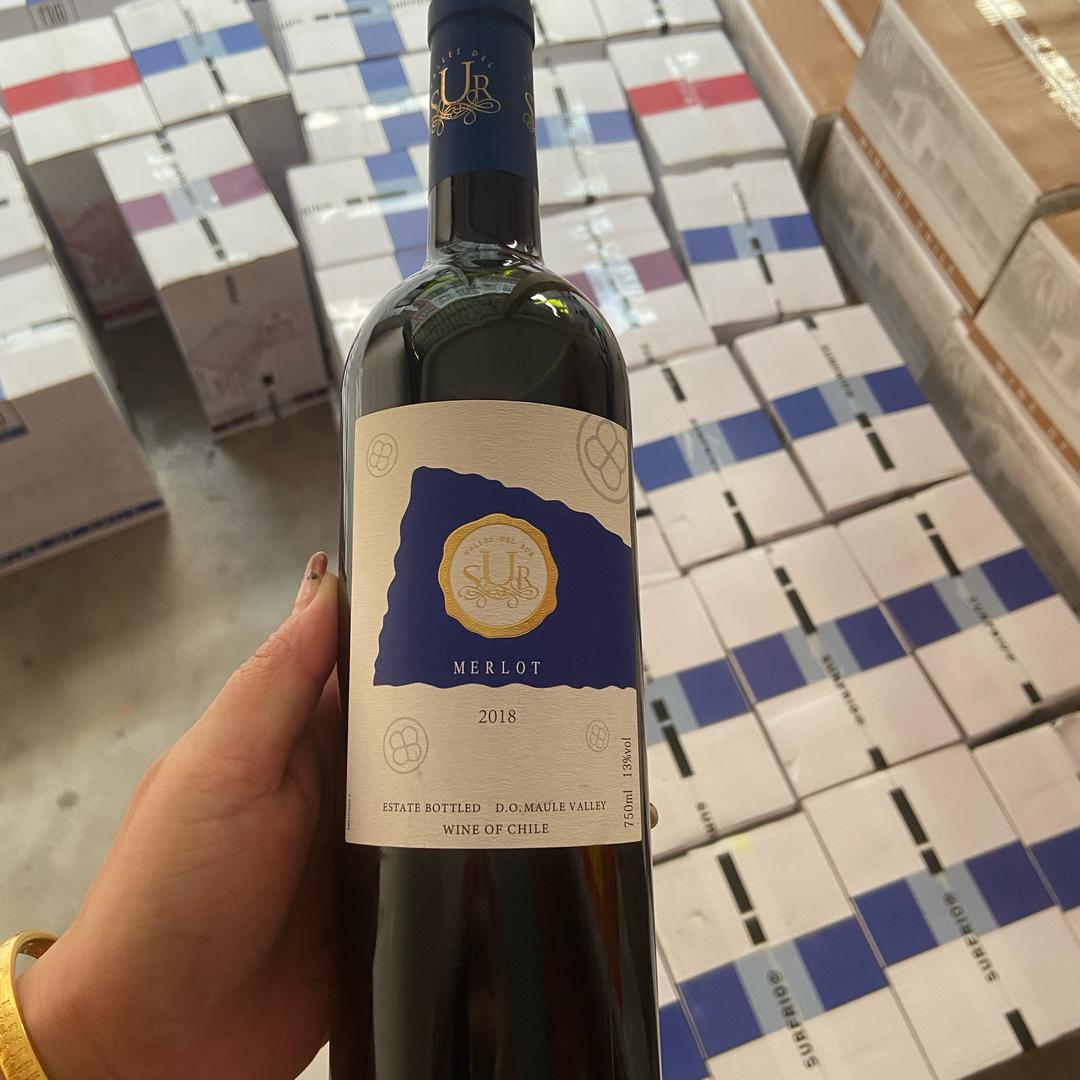 蓝妹🍷