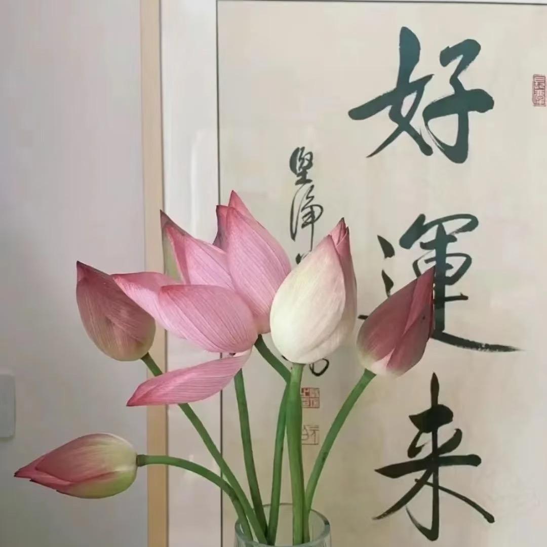 爱晴