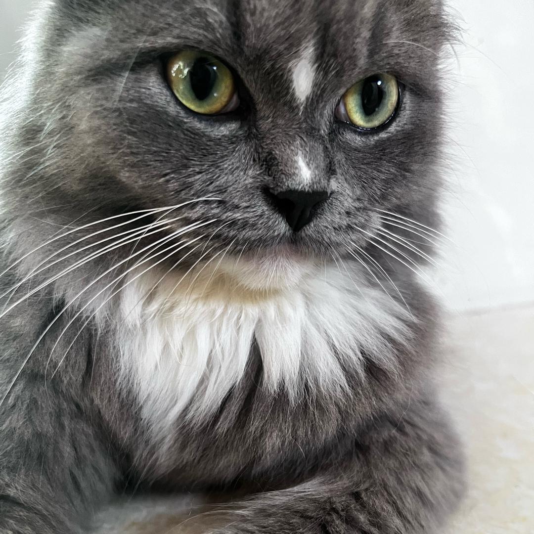 Jim