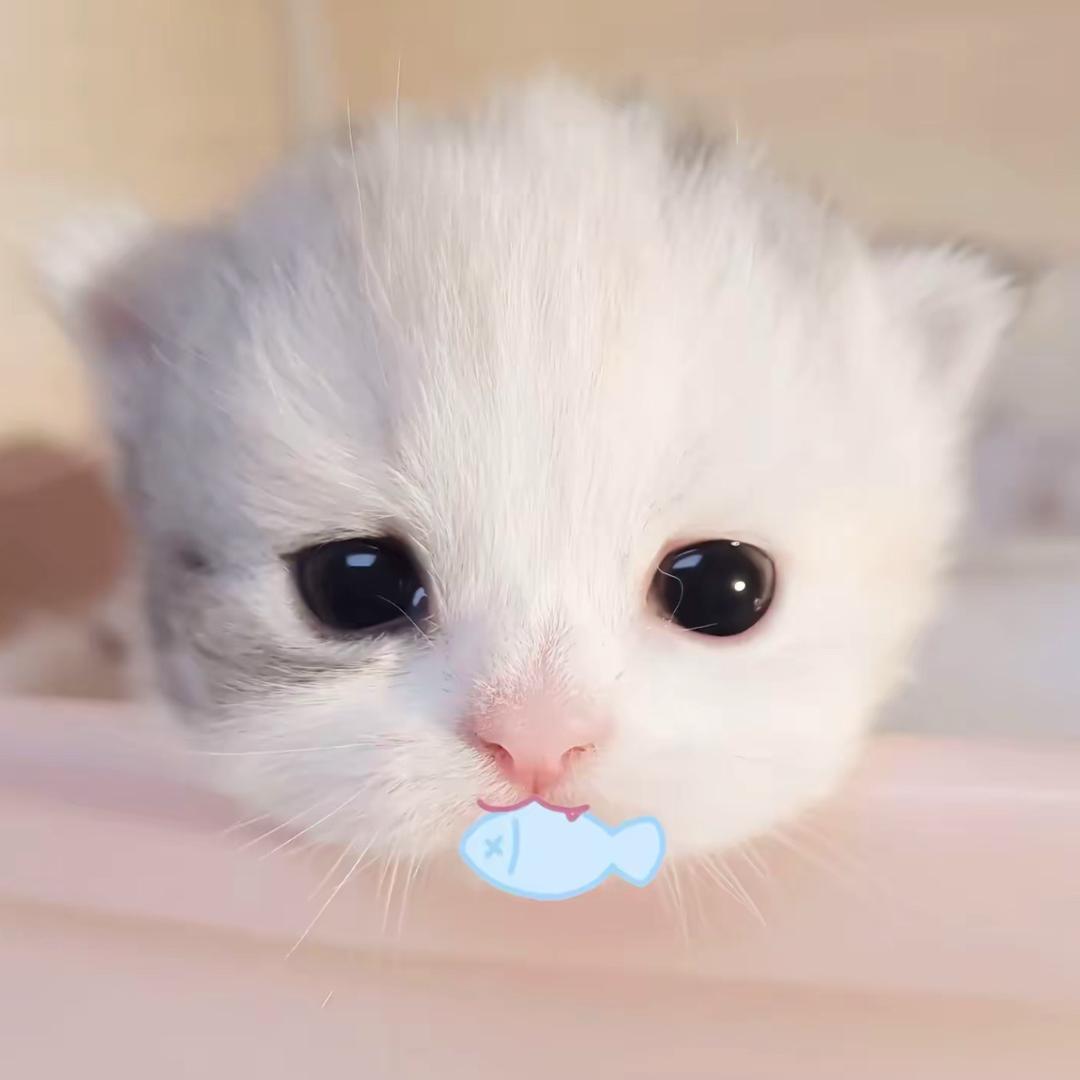 我要吃火鸡面