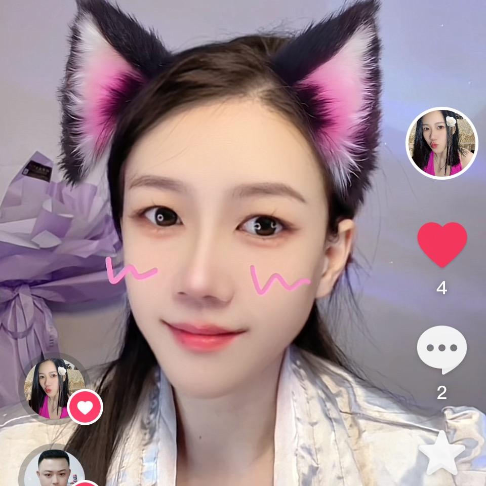 猫届花仙子🧚‍♀️小号