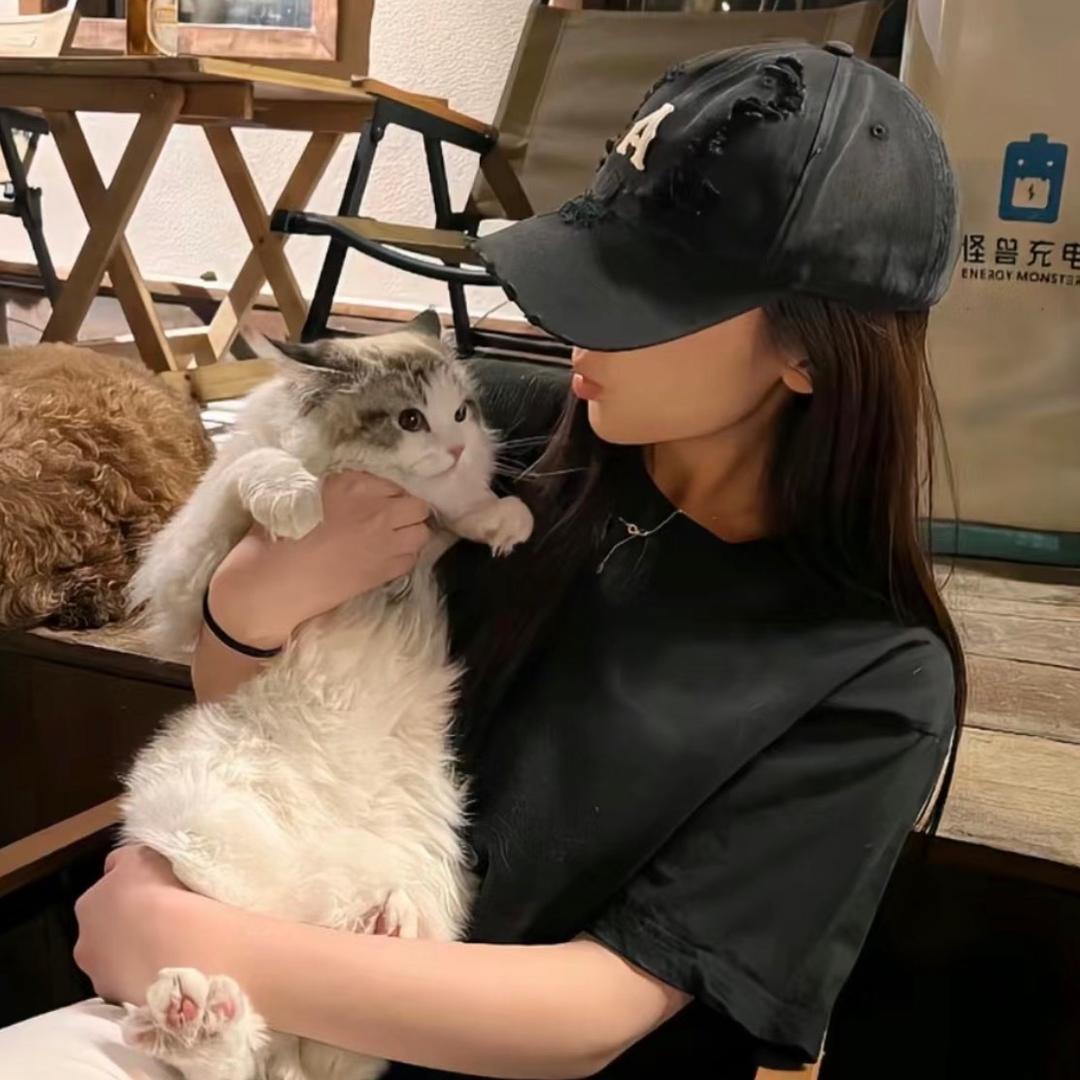 滷了個蛋