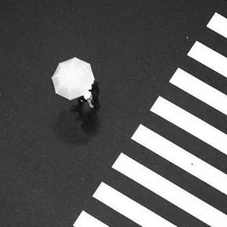 they👁️🗨️(减肥版)