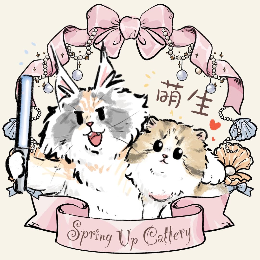 Spring Up萌生.Cattery