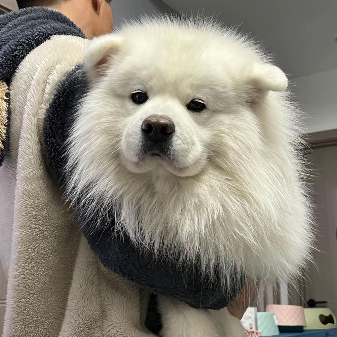 大熊～