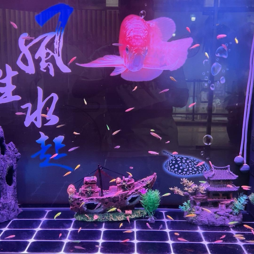 我见星月如故，却不见故人如初