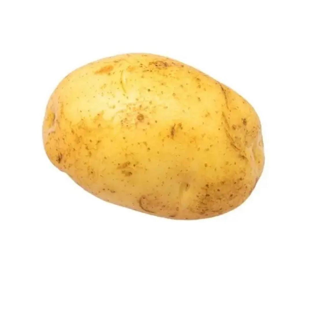 土豆