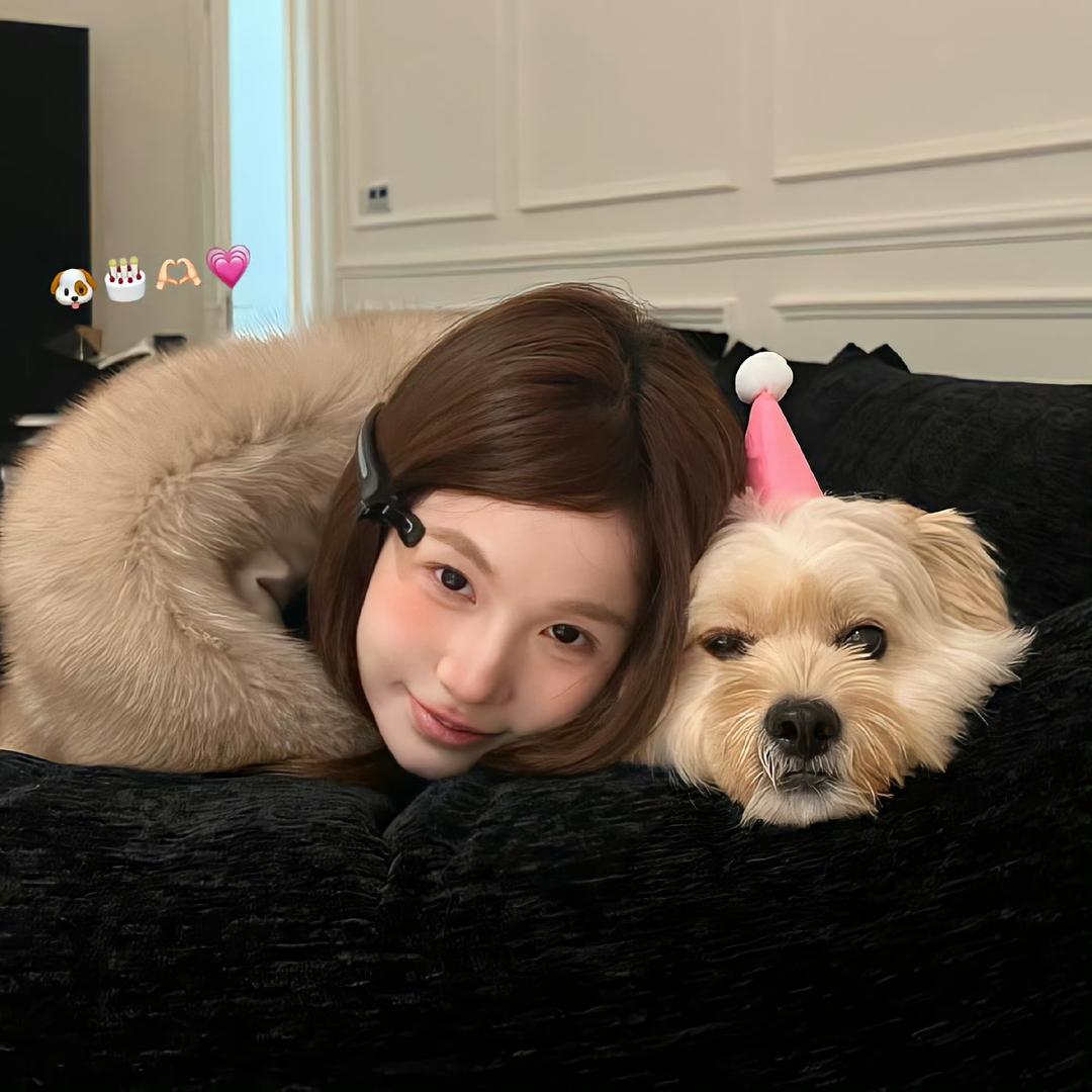 爱拉屎的阿拉蕾🎀