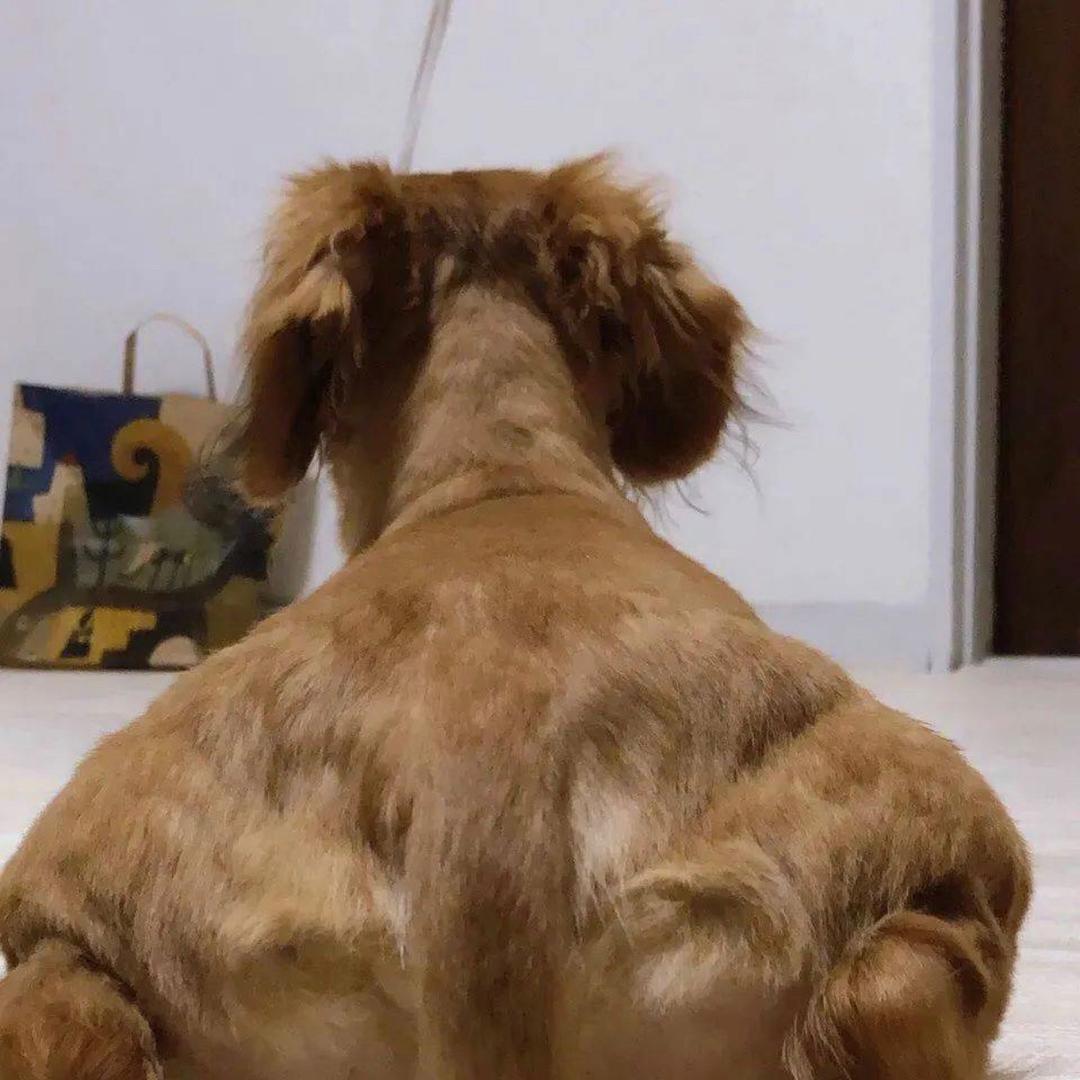 情绪稳定的耐心男人