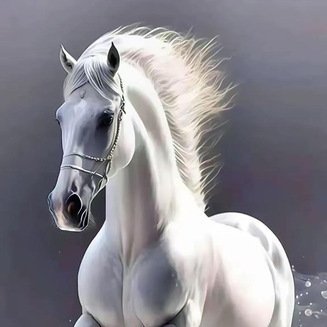 手机质检教学收徒（罗马新号)